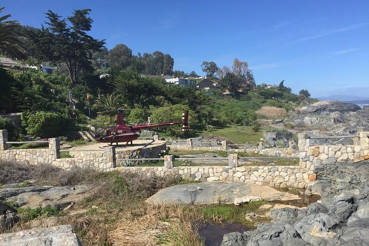 Passeio de barco privado para ver pingüins de Valparaíso Cachagua Island