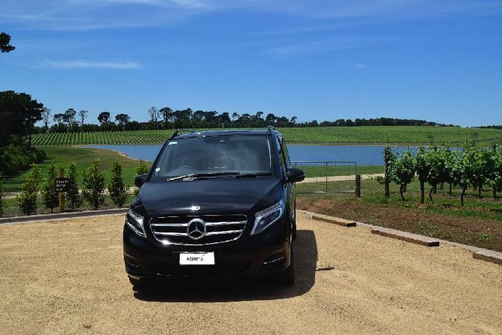 Phillip Island och Bass Coast - Melbourne Airport Transfer