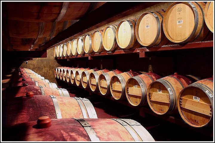 Pequeno Grupo - Excursão de meio dia ao Winery Hawke's Bay