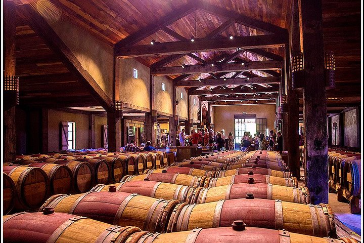 Pequeno Grupo - Excursão de meio dia ao Winery Hawke's Bay