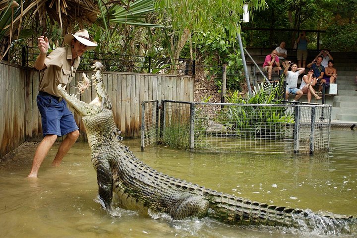 Hartley’s Krokodillenavonturen Tour van een halve dag vanuit Cairns