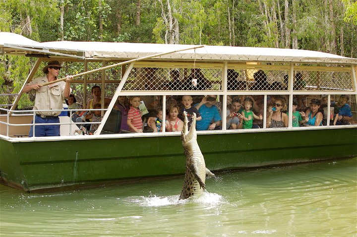 Hartley’s Krokodillenavonturen Tour van een halve dag vanuit Cairns