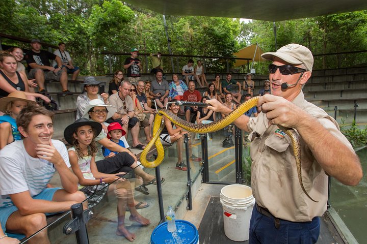 Hartley’s Krokodillenavonturen Tour van een halve dag vanuit Cairns