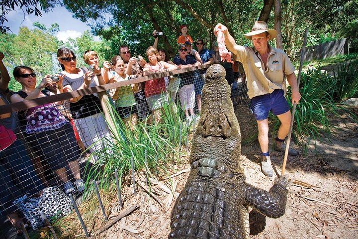 Hartley’s Krokodillenavonturen Tour van een halve dag vanuit Cairns