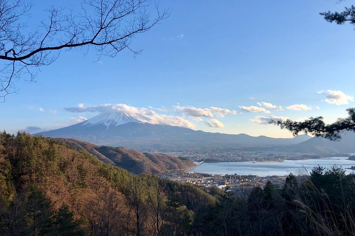 Visitas guiadas privadas del área del monte Fuji en inglés: naturaleza de cerca, tranquila, personal