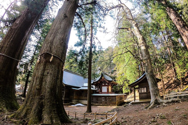 Visitas guiadas privadas del área del monte Fuji en inglés: naturaleza de cerca, tranquila, personal
