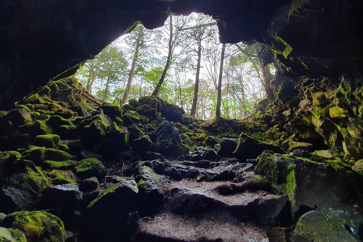 Visitas guiadas privadas del área del monte Fuji en inglés: naturaleza de cerca, tranquila, personal