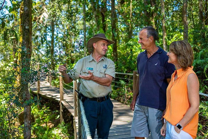 Gita di un giorno sulla Kuranda Scenic Railway da Cairns