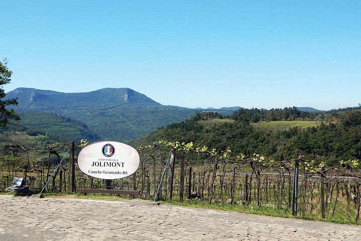 Jolimont Winery Tour - Besichtigung und Verkostung - Canela RS