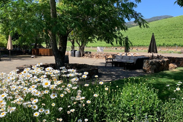 Sonoma y Napa 6hr - 8hr - Tour Privado en Vino con Servicio de Conserjería