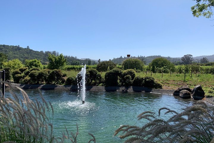 Sonoma y Napa 6hr - 8hr - Tour Privado en Vino con Servicio de Conserjería