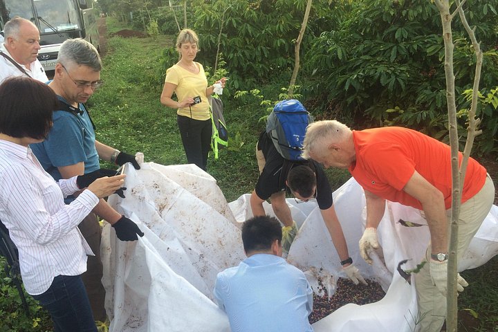 Amazing Coffee Ganztagestour in Buon Ma Thuot - Daklak