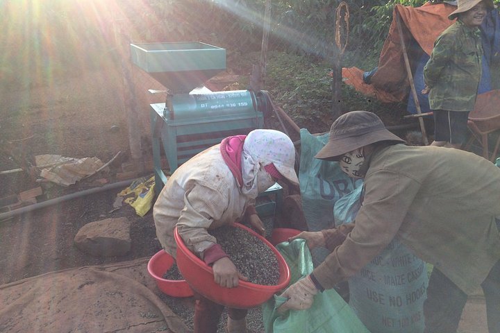 Amazing Coffee Ganztagestour in Buon Ma Thuot - Daklak