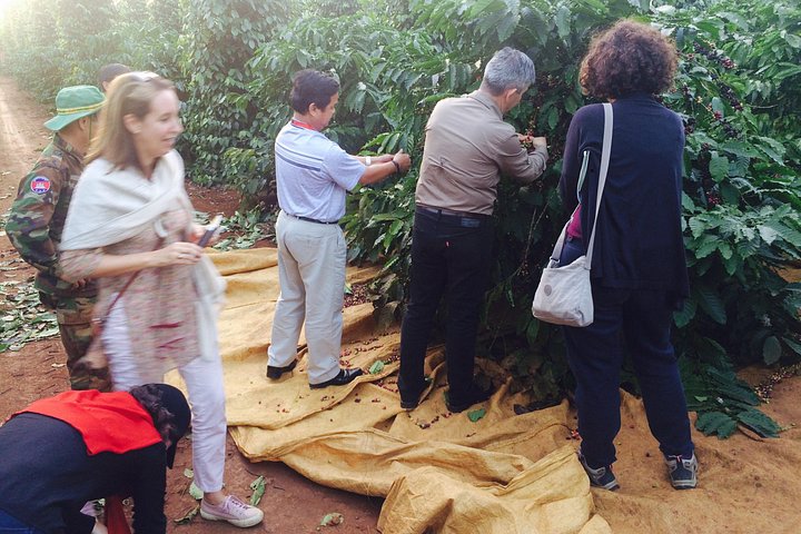 Amazing Coffee Ganztagestour in Buon Ma Thuot - Daklak