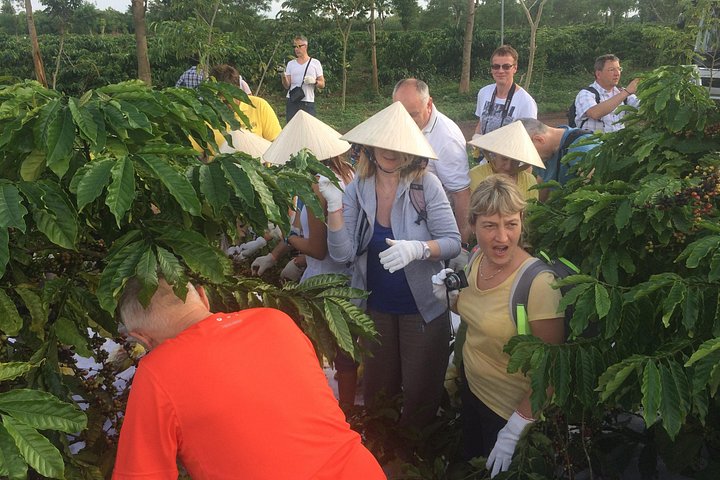 Amazing Coffee Ganztagestour in Buon Ma Thuot - Daklak