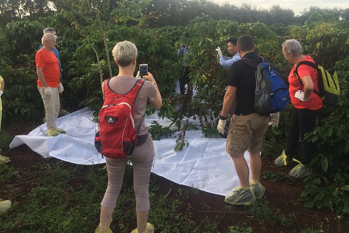 Amazing Coffee Ganztagestour in Buon Ma Thuot - Daklak