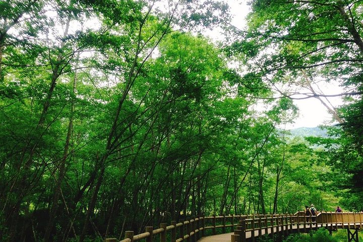 Kamikochi Mountain-dagtrip vanuit Tokio