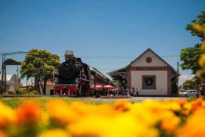 Trasferimento privato alla stazione ferroviaria Maria Fumaça e Italian Epic