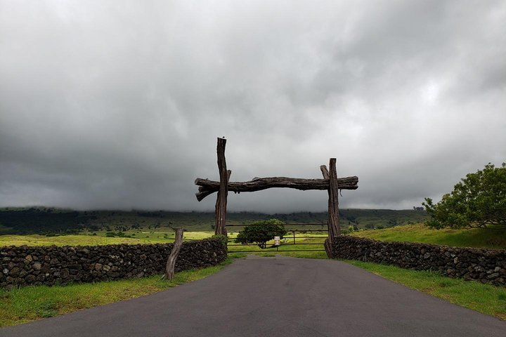 Maui-Tour: Tagesausflug von Lahaina zur Straße nach Hana mit Abholung