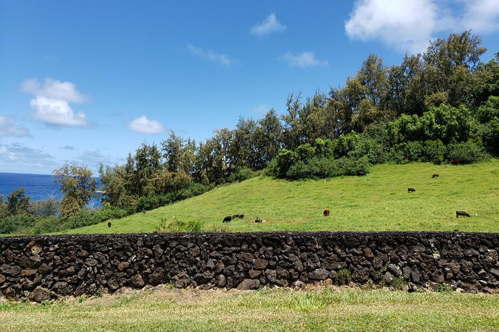 Maui-Tour: Tagesausflug von Lahaina zur Straße nach Hana mit Abholung