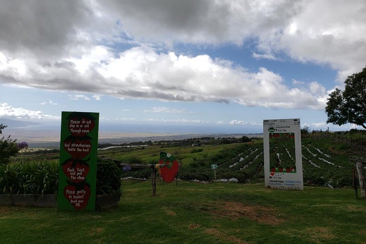 Maui-Tour: Tagesausflug von Lahaina zur Straße nach Hana mit Abholung