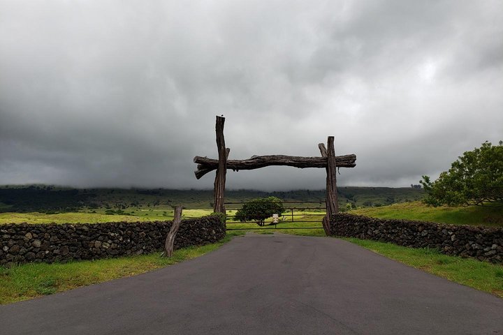 Maui-Tour: Tagesausflug von Lahaina zur Straße nach Hana mit Abholung