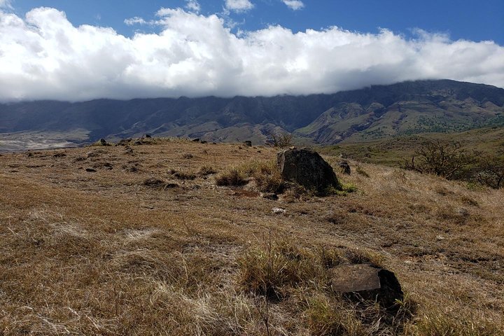 Maui-Tour: Tagesausflug von Lahaina zur Straße nach Hana mit Abholung