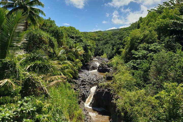 Maui-Tour: Tagesausflug von Lahaina zur Straße nach Hana mit Abholung