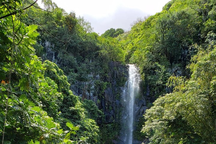 Maui-Tour: Tagesausflug von Lahaina zur Straße nach Hana mit Abholung