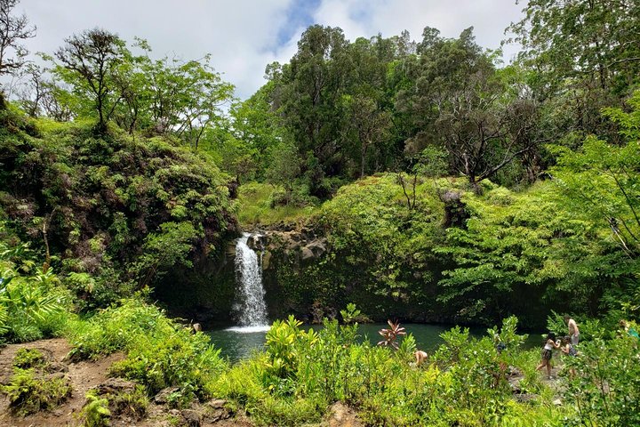 Maui-Tour: Tagesausflug von Lahaina zur Straße nach Hana mit Abholung