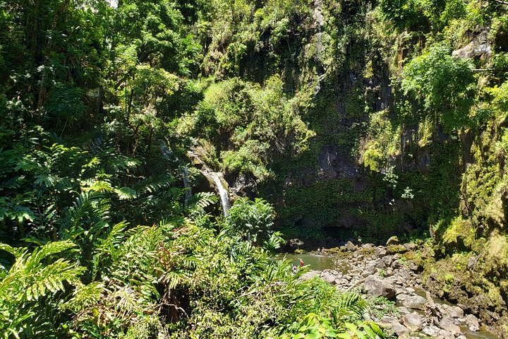 Maui-Tour: Tagesausflug von Lahaina zur Straße nach Hana mit Abholung