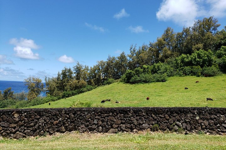 Route de Hana : Journée complète de route panoramique avec Blacksand et cascades