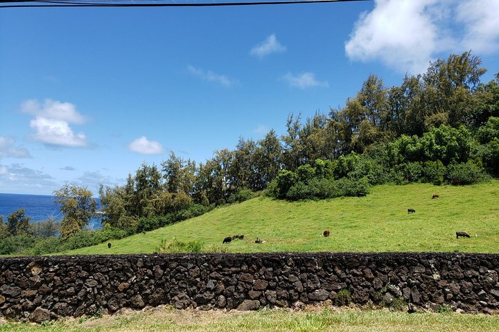 Abenteuertour auf der Straße nach Hana in kleiner Gruppe mit Abholung und Mittagessen