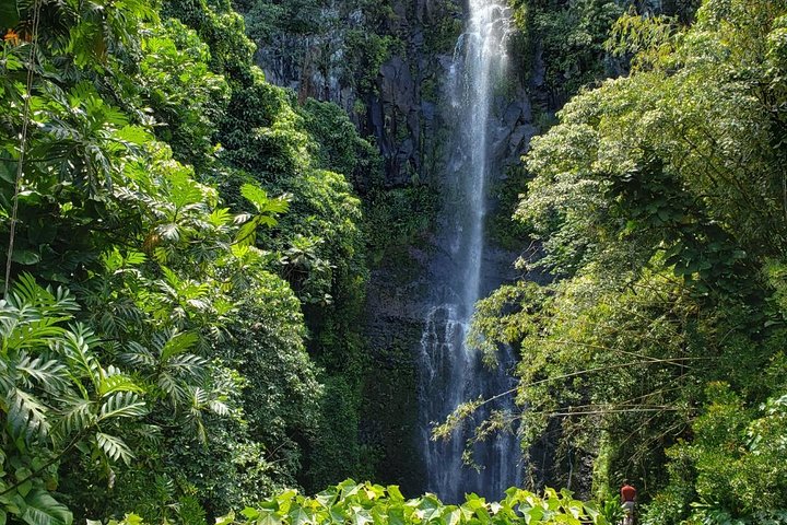 Abenteuertour auf der Straße nach Hana in kleiner Gruppe mit Abholung und Mittagessen