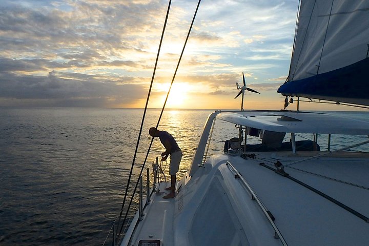 Afternoon Luxury Catamaran Seiling og Charter Cruise fra Bridgetown