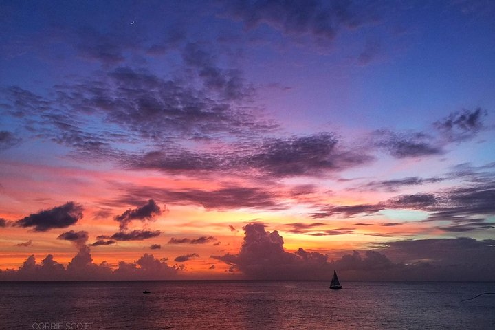 Afternoon Luxury Catamaran Seiling og Charter Cruise fra Bridgetown