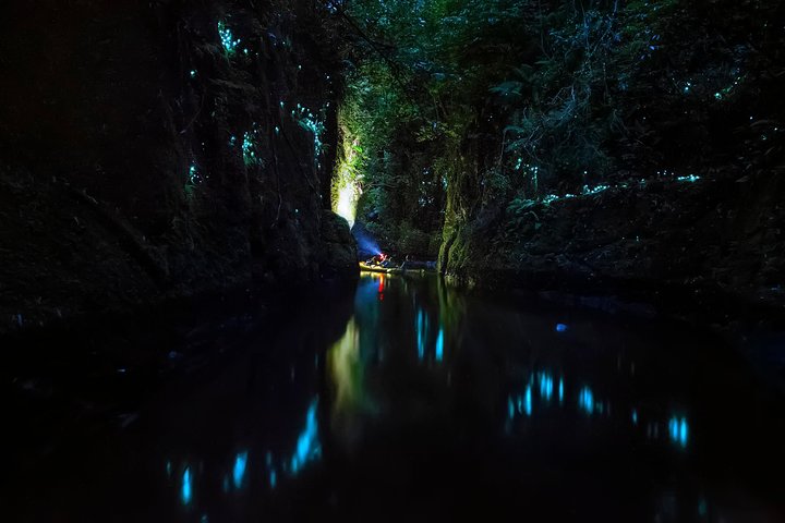 Tauranga : Tour en kayak por la noche en gusano resplandeciente