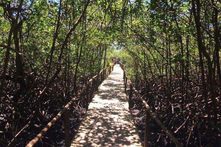 Passeio de dia inteiro à Trancoso e Fábrica de Chocolate saindo de Porto Seguro