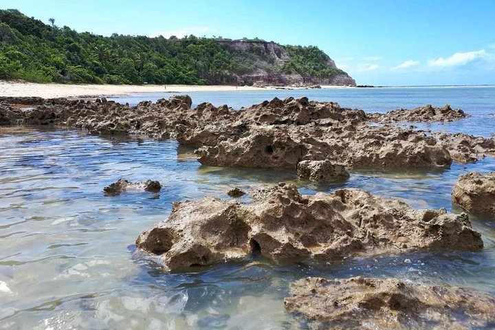 Passeio de dia inteiro à Praia do Espelho saindo de Porto Seguro