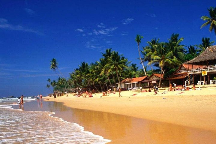 Excursão de um dia a Galle saindo de Colombo ou Negombo de carro particular, van com motorista