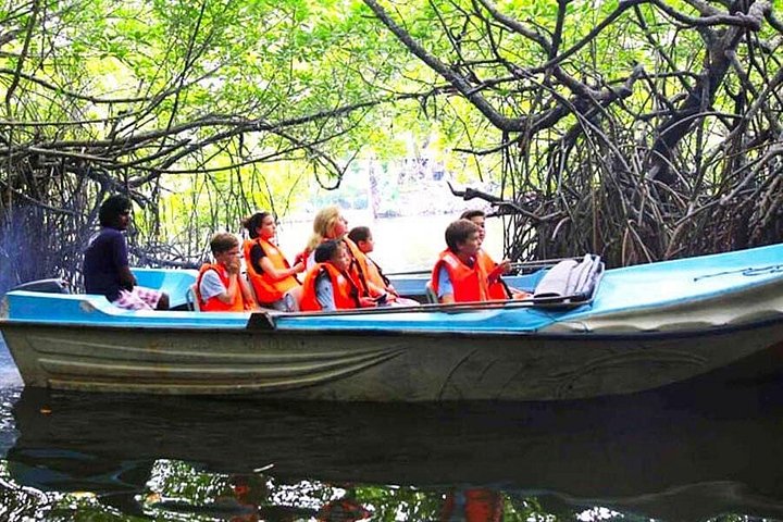 Excursão de um dia a Galle saindo de Colombo ou Negombo de carro particular, van com motorista