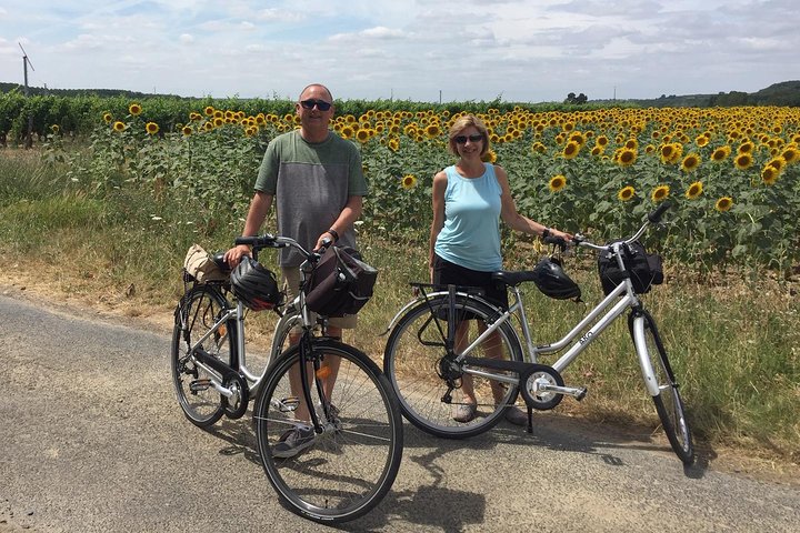 Gite in bicicletta nei vigneti di Chinon e dintorni, nella Valle della Loira