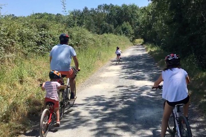 Gite in bicicletta nei vigneti di Chinon e dintorni, nella Valle della Loira