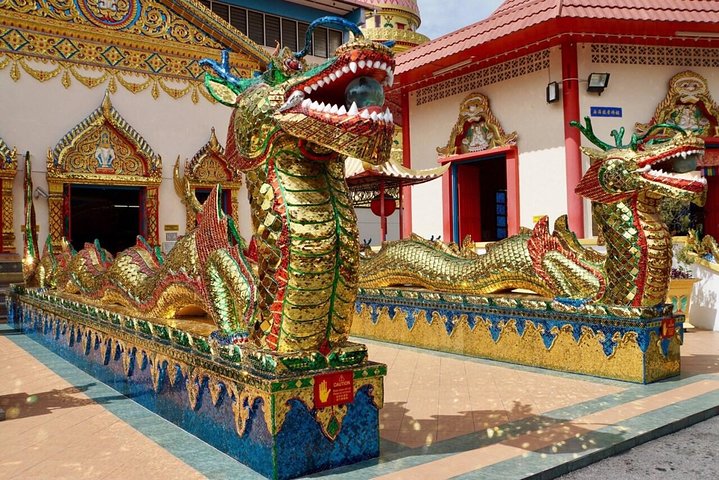 Excursão pela cidade e pelo templo de Penang com a colina de Penang (Fast Lane)