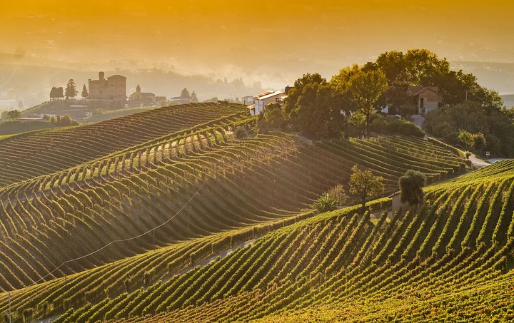 Tour Privado: Degustação de Vinhos Barolo na área de Langhe a partir de Turim