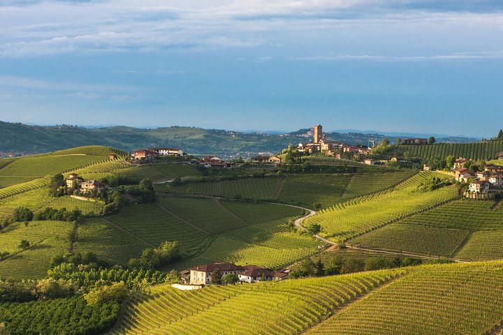 Tour Privado: Degustação de Vinhos Barolo na área de Langhe a partir de Turim