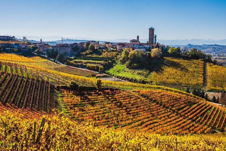 Tour Privado: Degustação de Vinhos Barolo na área de Langhe a partir de Turim