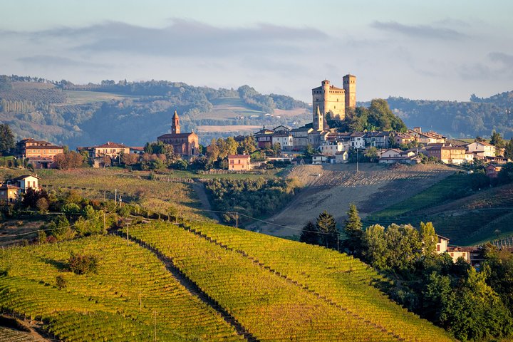 Tour Privado: Degustação de Vinhos Barolo na área de Langhe a partir de Turim