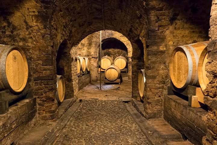 Tour Privado: Degustação de Vinhos Barolo na área de Langhe a partir de Turim