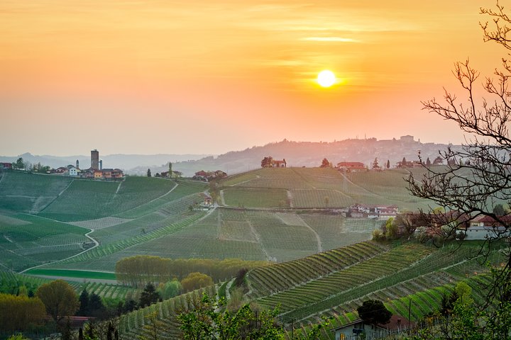 Tour Privado: Degustação de Vinhos Barolo na área de Langhe a partir de Turim